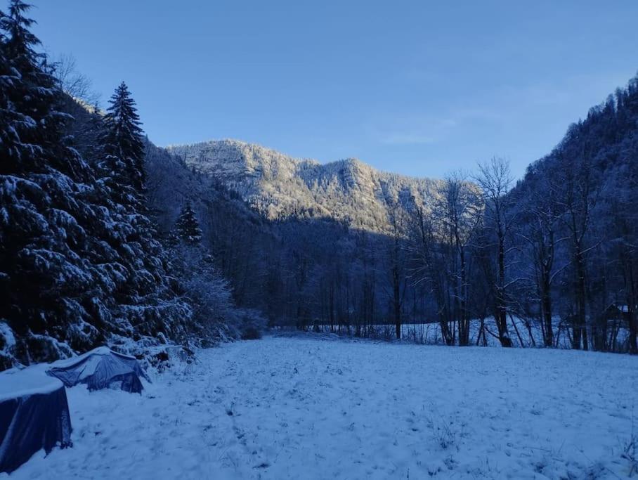 Chalet 8 Personnes + Grand Terrain Et Riviere Entremont Exterior foto